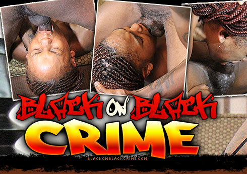 Sweetie Destroyed On Black On Black Crime